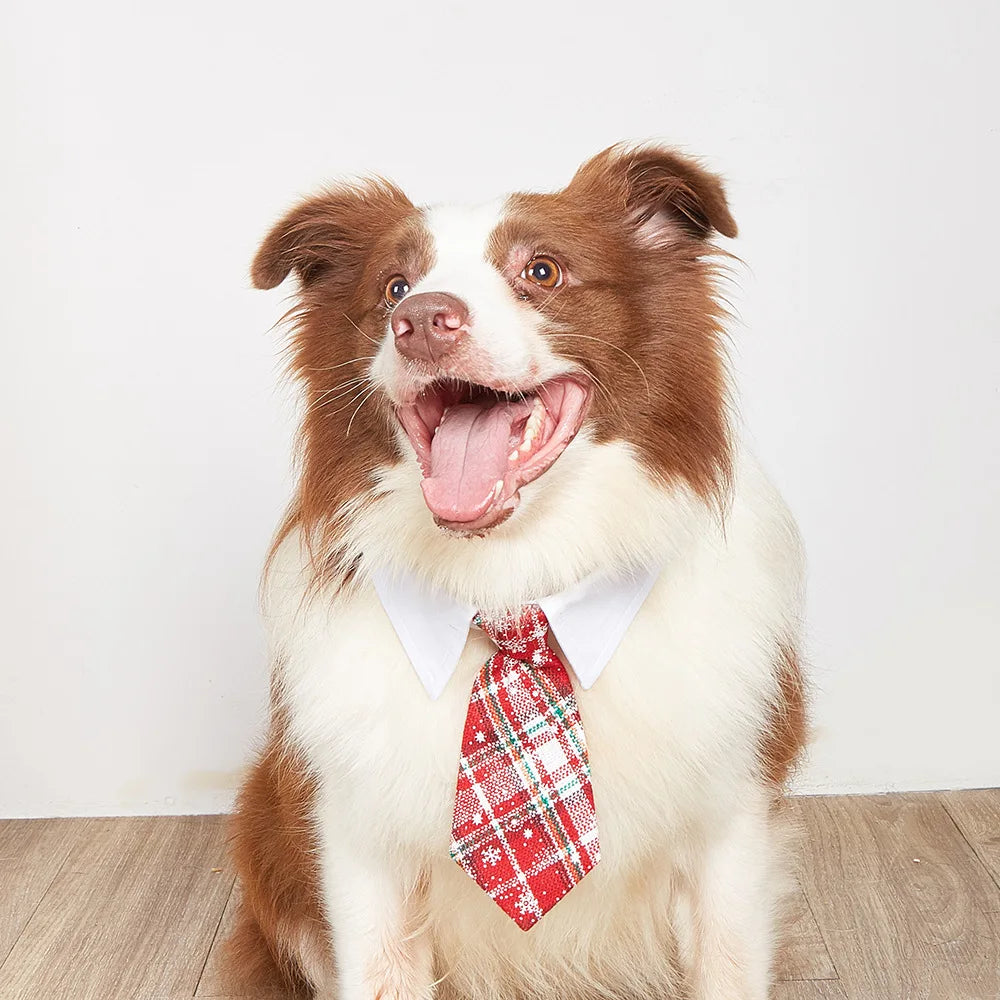 Tanpopo Colorful Pets Christmas Plaid Pet Accessories Necktie Handsome Gentleman Wedding Engagement Party Dog Collar