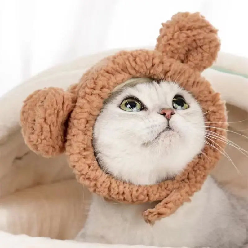 Cute Bear Rabbit Hooded Pet Cat Dog Accessories Cosplay Cat Hat Winter Lovely New Year Puppy Headgear Soft Velvet Pets Supplies